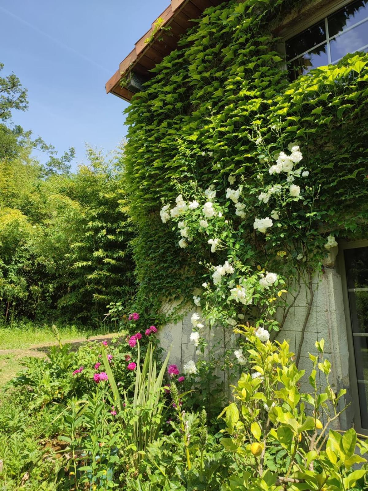 Chambre D'Hotes Le Moulin De Moulis Bed & Breakfast Exterior photo