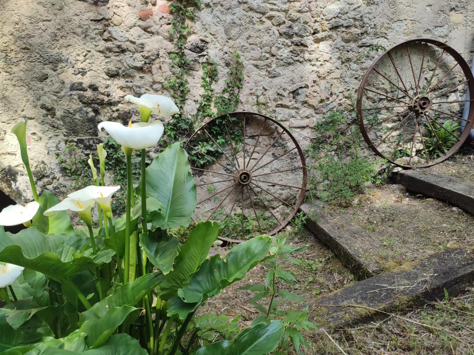 Chambre D'Hotes Le Moulin De Moulis Exterior photo